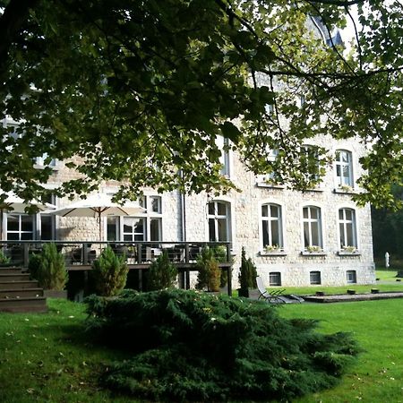 Chateau D'Hassonville Aye Exteriör bild