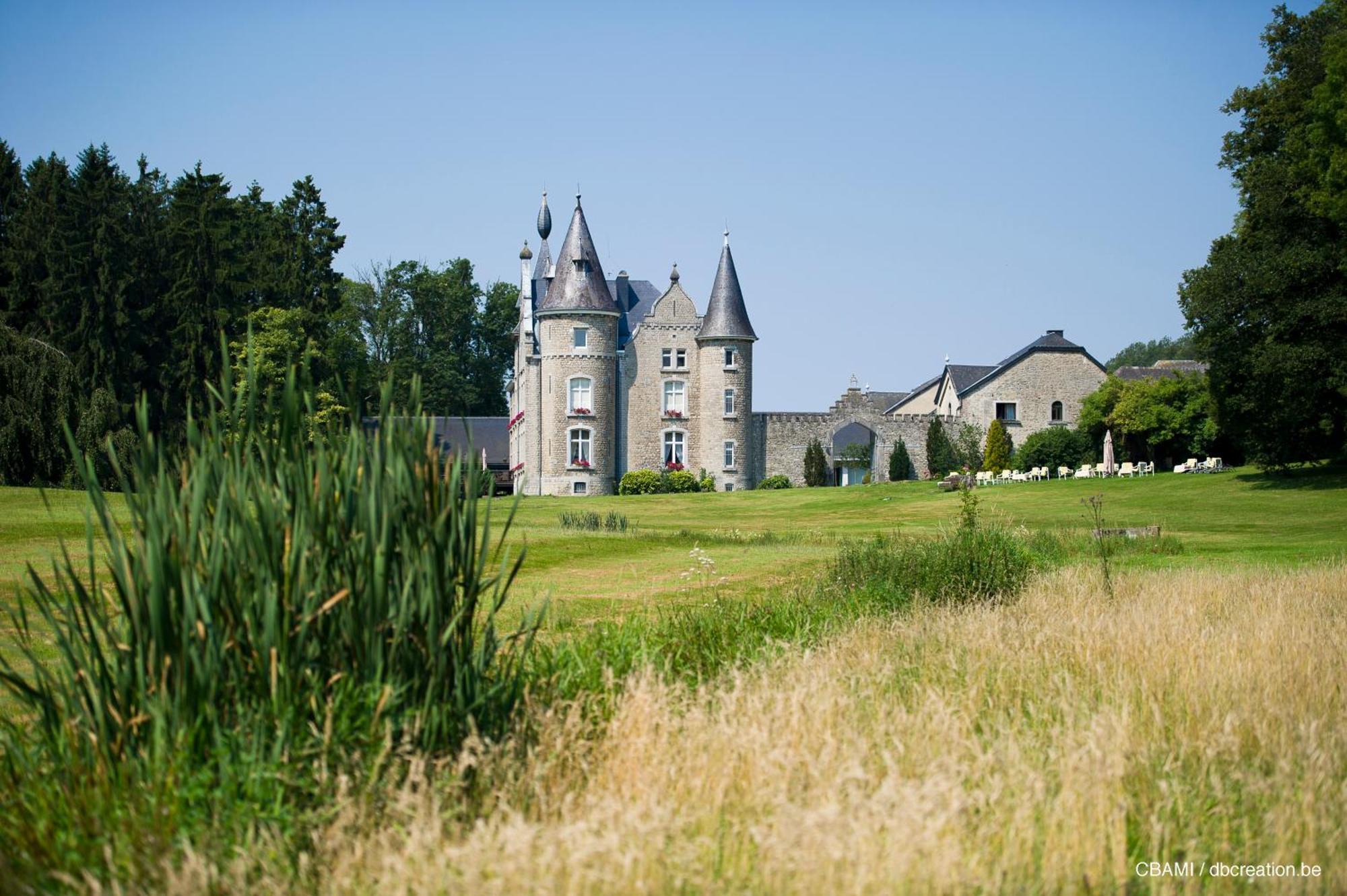 Chateau D'Hassonville Aye Exteriör bild